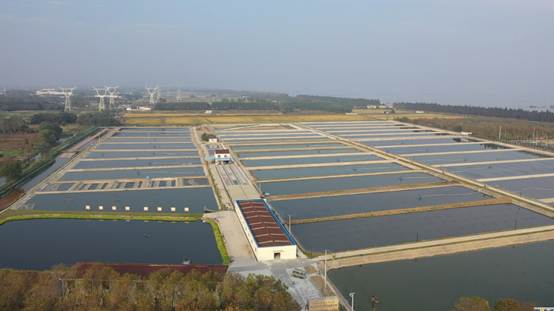說明: H:\大浦基地\大浦基地航拍\大浦02.png