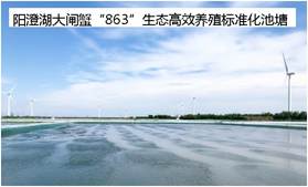 說明: 陽澄湖大閘蟹“863”生態高效養殖標準化池塘