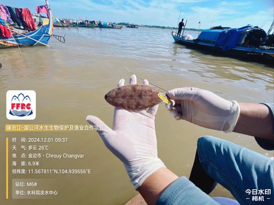 圖片 圖片